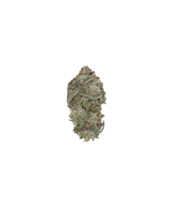 Tangerine Dream