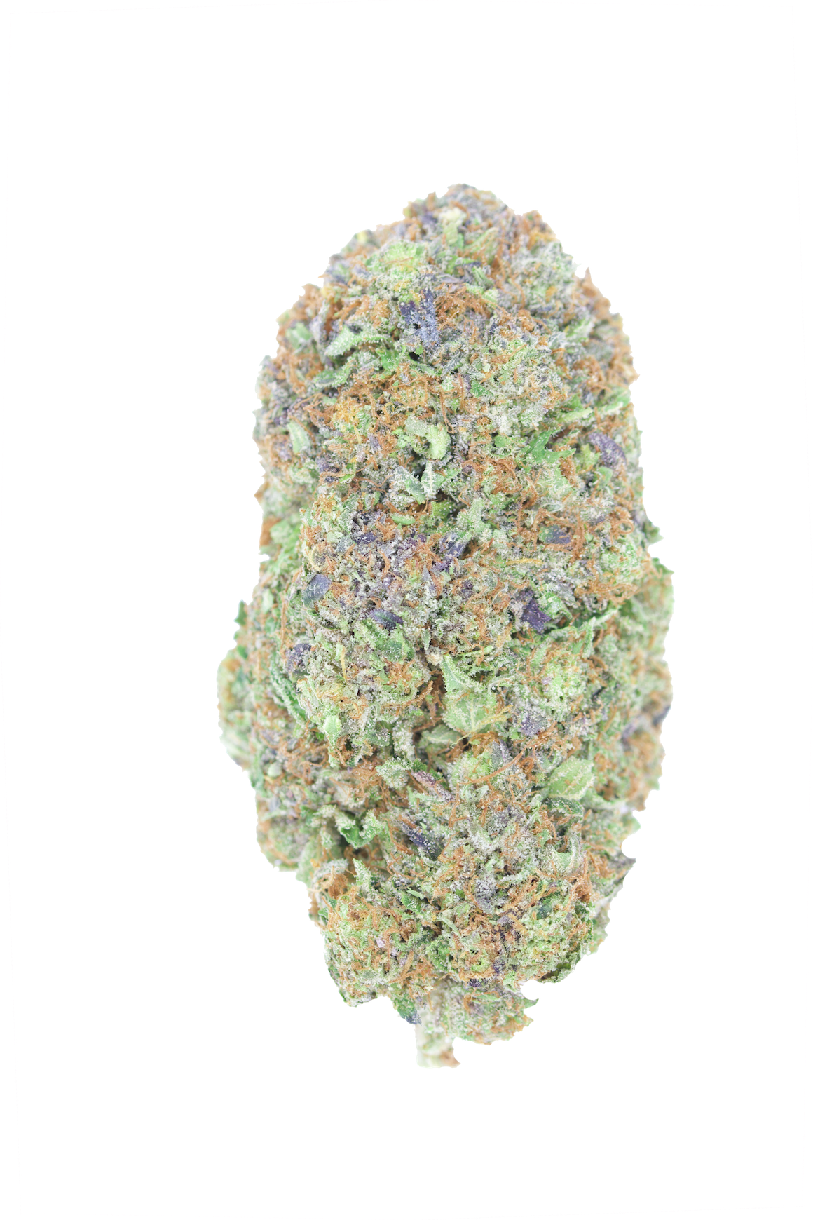 buy-bluefin-tuna-online-happy-clouds