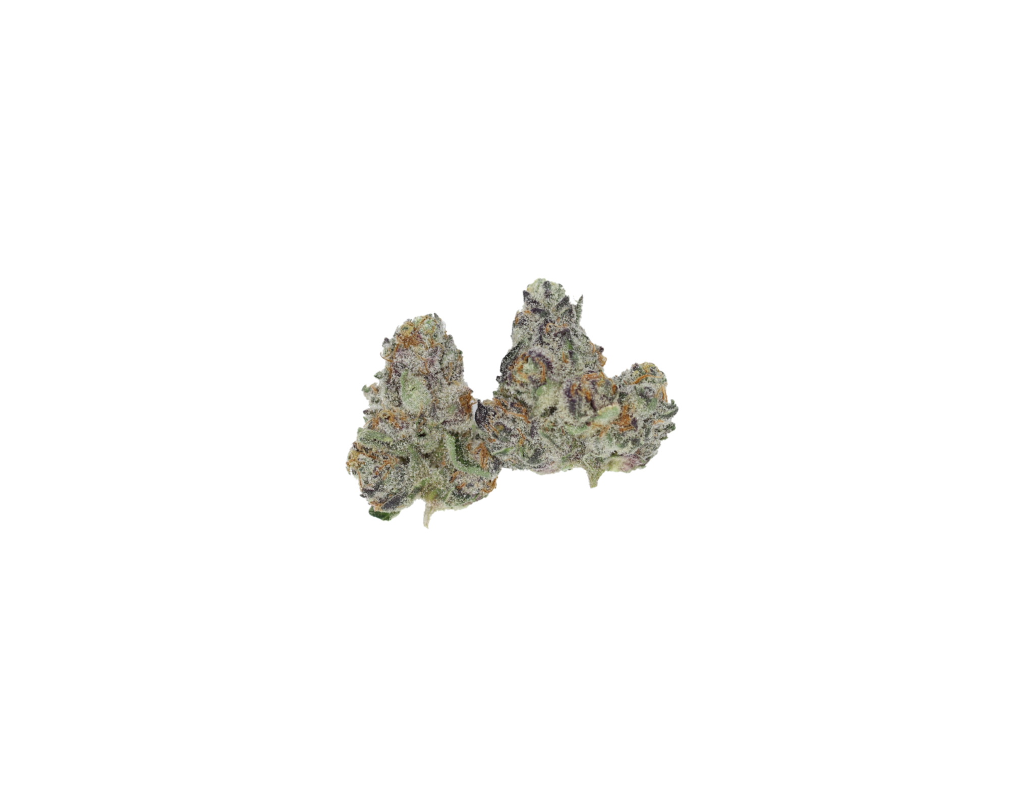 Close-up of dried cannabis flower buds of the kind sold in bulk quantities
