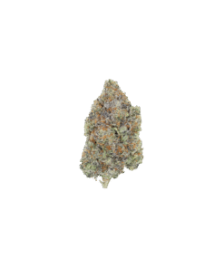 Shark Breath Hybrid Anxiety Easing