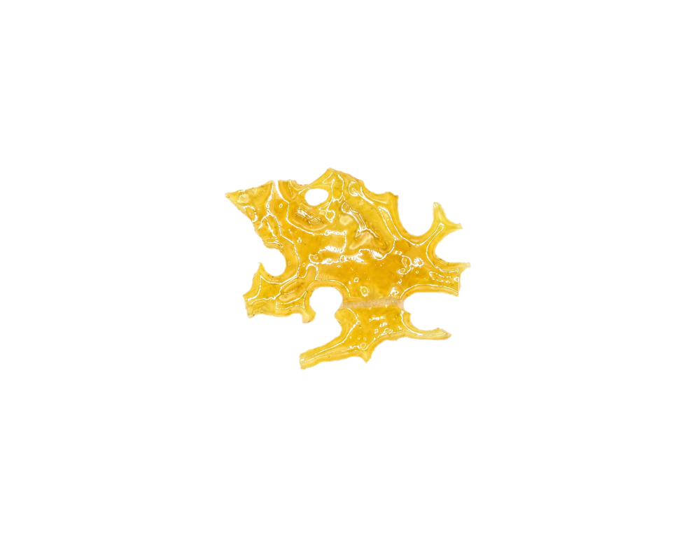 Photographie source: Ecto Kooler Shatter