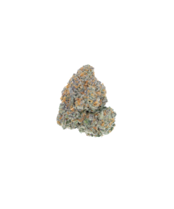 Gorilla Cookies