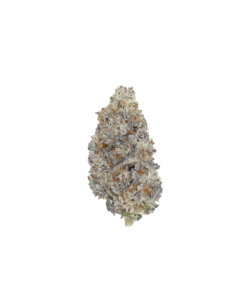 Black Biscotti