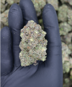 Black Tuna OG