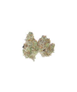 Cactus Breath