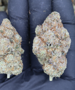 Fruity Pebbles (1/2lb) Wholesale Flower Berry