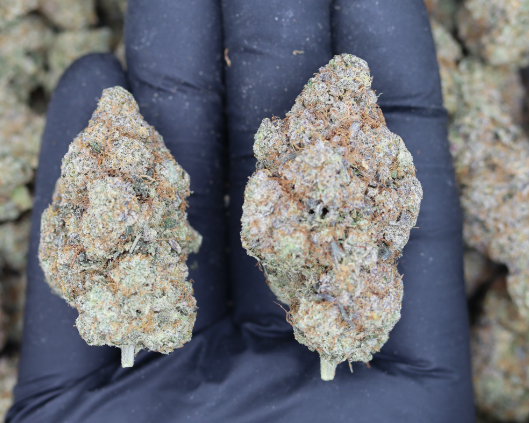 Photographie source: Fruity Pebbles