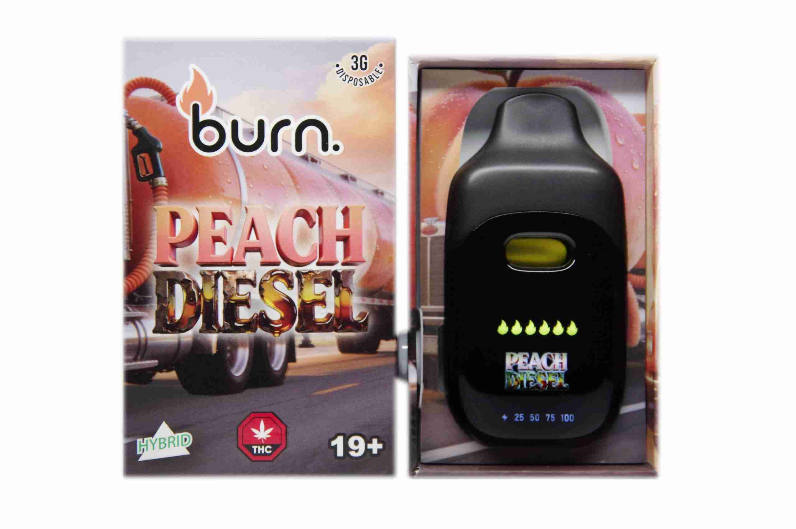 Photographie source: Burn LCD Disposable –