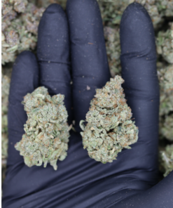 Blue Dream (1/2lb)