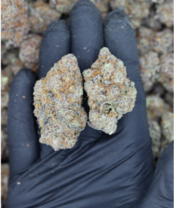 Grape Frosty