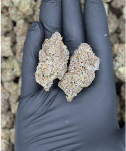 Purple Coma