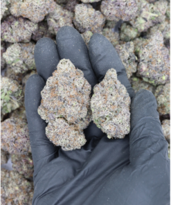 Black Forest Cake All Strains Balanced Mood