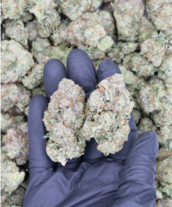 Bubba Banger All Strains Bubba Banger