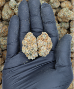 Critical Hog All Strains appetite