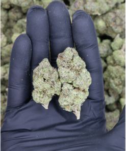 MKU All Strains Cannabis Flower