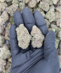 Maui Sunrise All Strains Cannabis Flower