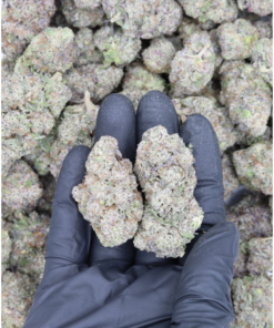 Petrol Potion All Strains Cannabis Flower