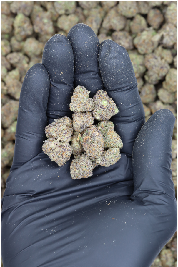 Photographie source: Purple Punch Smalls