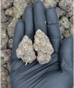 Island Exotics – Red Pop (1/2lb) Wholesale Flower Berry