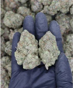 Mazari All Strains Cannabis Flower