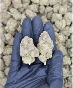 Sour Amnesia All Strains Cannabis Flower