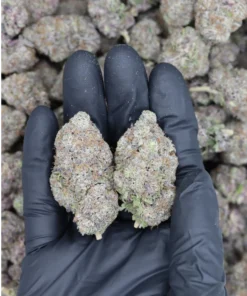 Ice Berry All Strains Cannabis Flower